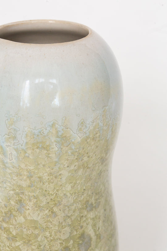 Lichen