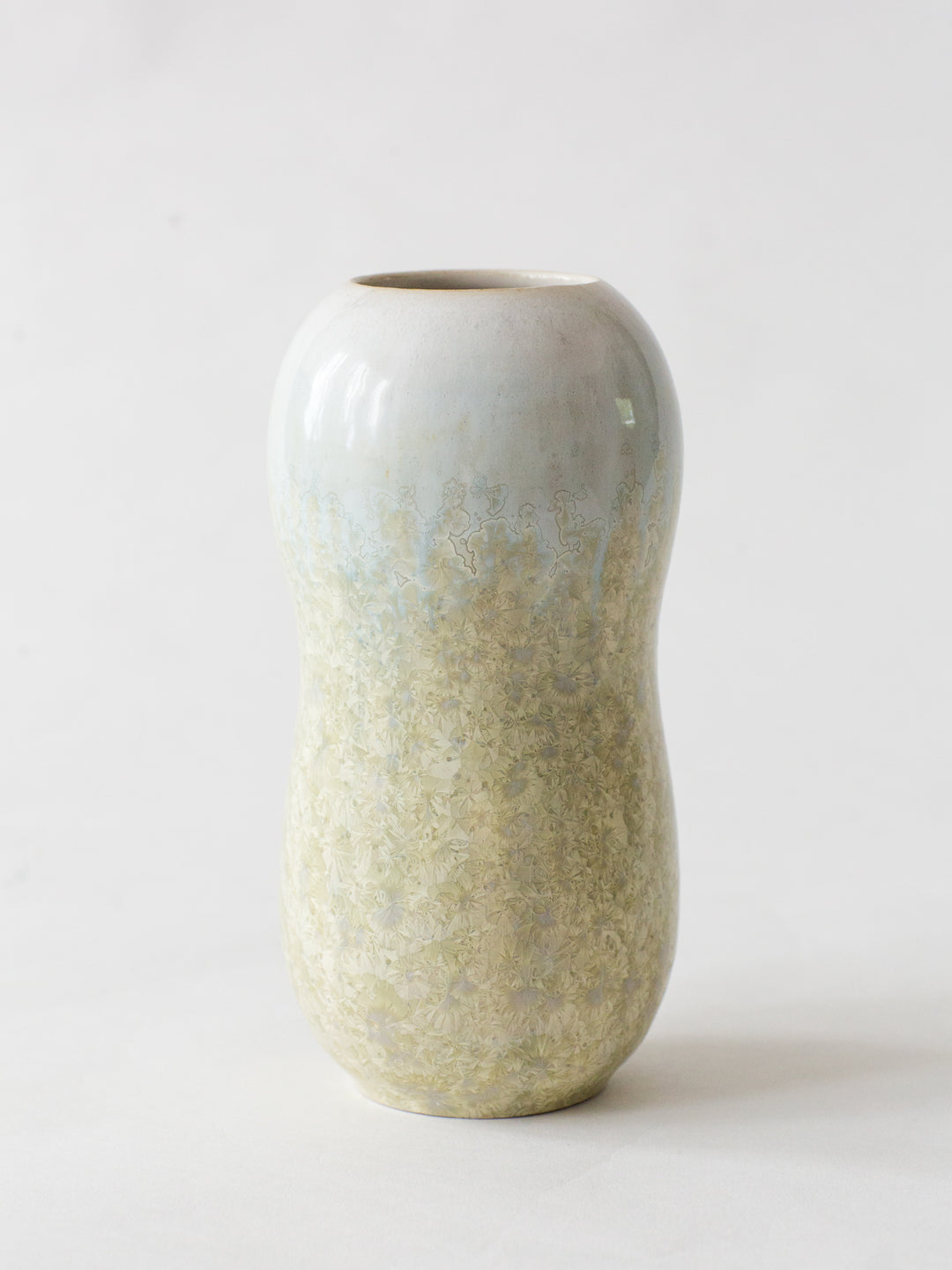 Lichen
