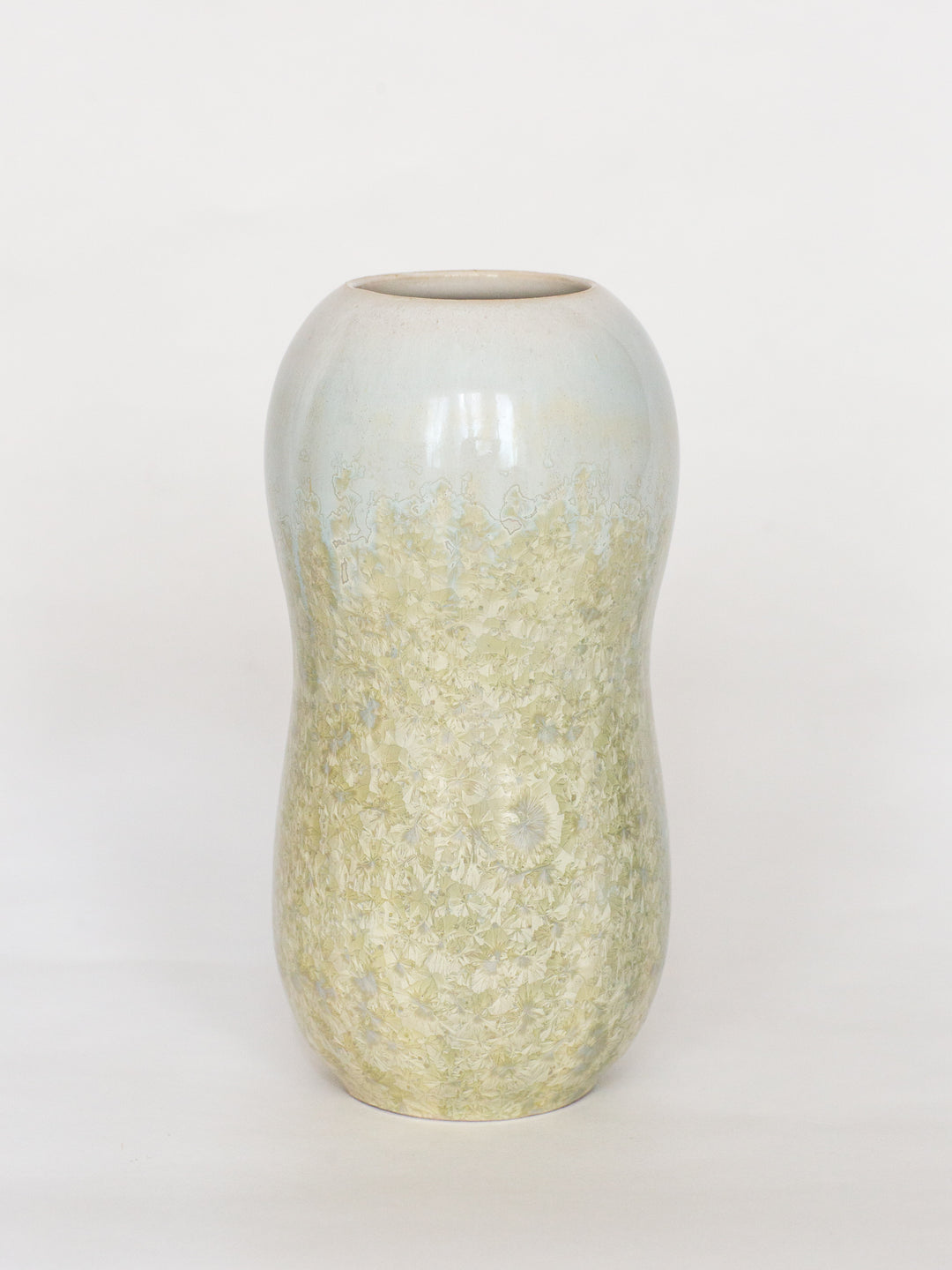 Lichen