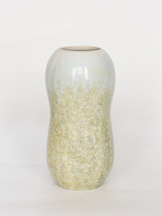 Lichen